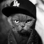 Briar Till Profile Picture