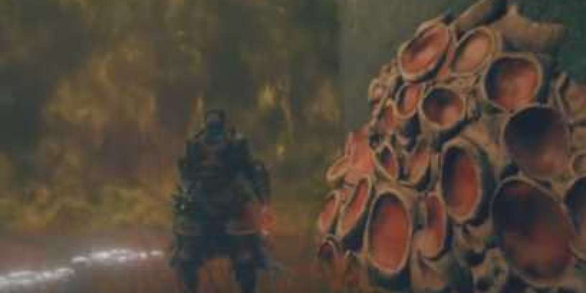 MMOEXP-Elden Ring: Nightreign offers a fresh