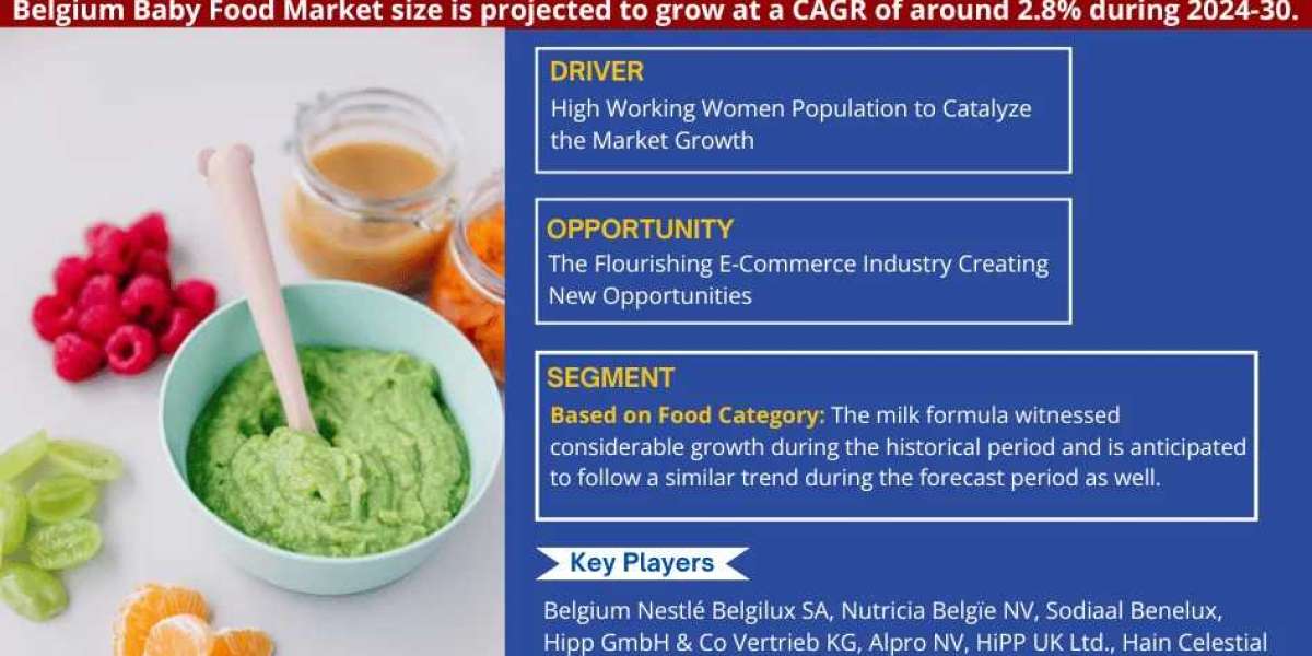 Belgium Baby Food Market Forecast to 2030: Growth and Share Insights