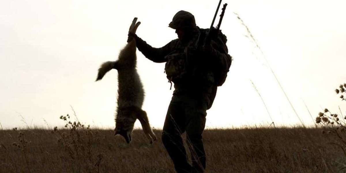Mastering Coyote Hunting: Essential Tips for Daytime and Nighttime Success