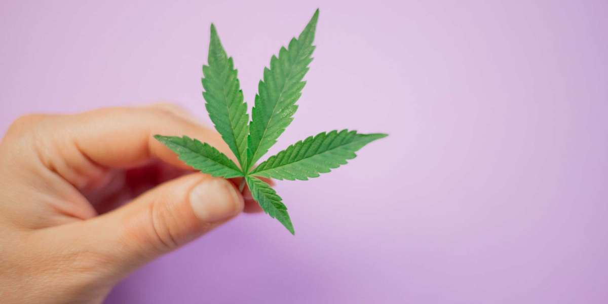 UK Cannabis Laws: What Buyers Need to Know in 2025