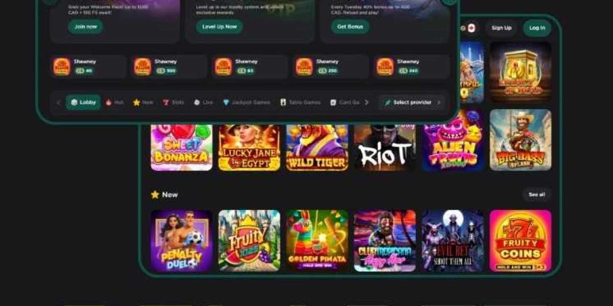 My Experience with belabet Online Casino