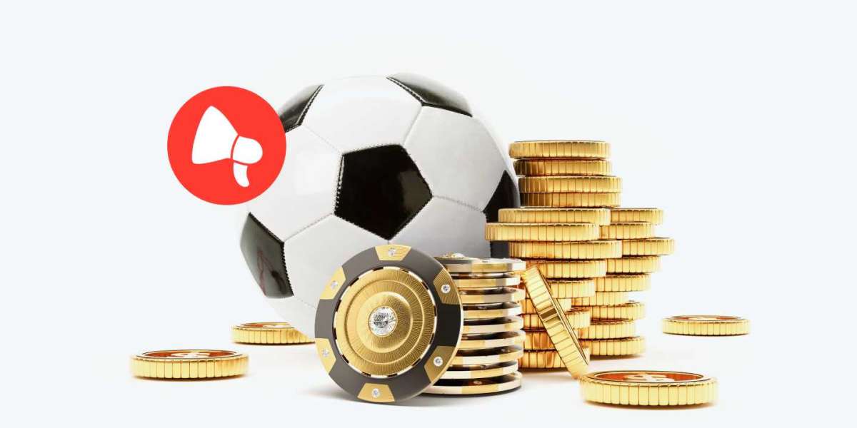 How to Build a Daily Betting Routine for Success