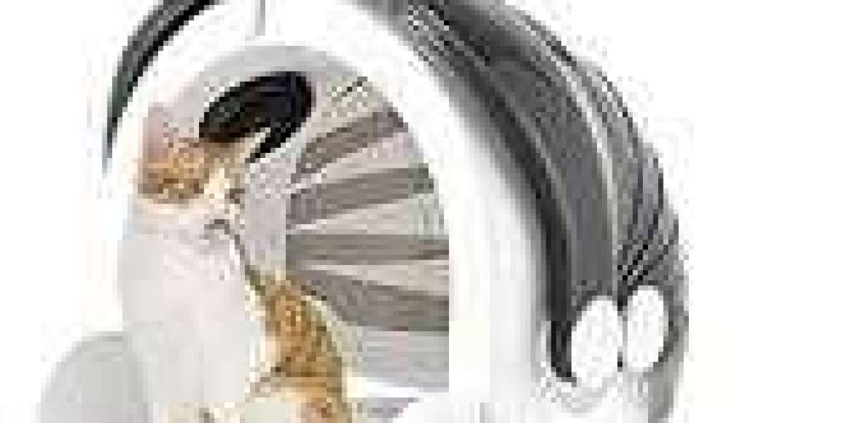 Is Pawtechpet Pet Dryer the Future of Home Grooming?