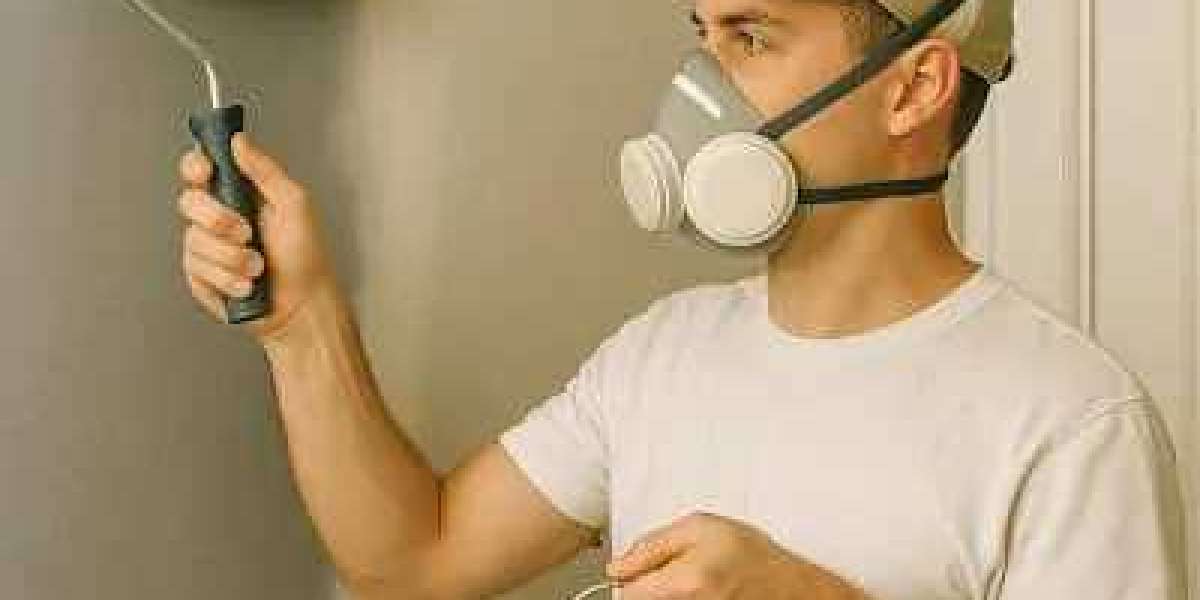 Professional Painting