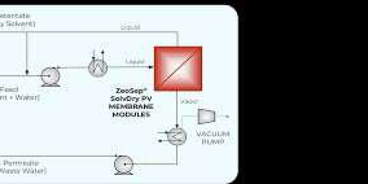 The Future of Sustainable Chemical Separation: How Pervaporation Leads the Way