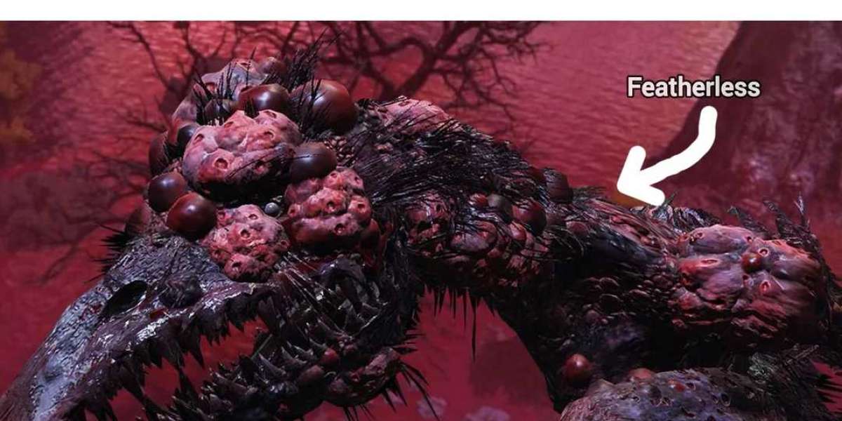 MMOEXP-Elden Ring DLC Guide: When You Should Throw vs Craft