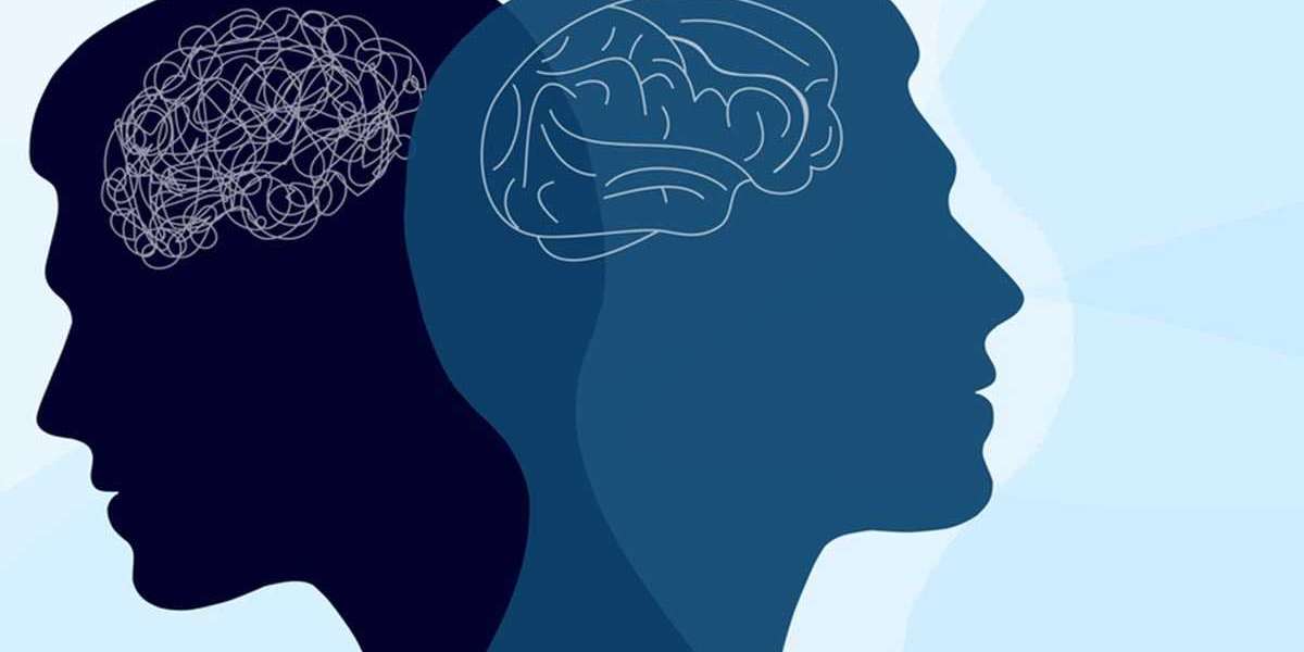 Paranormal Thrillers: The Psychology Behind Suspenseful Fiction