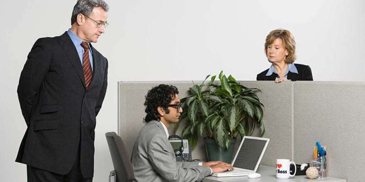 Custom Writing as a Tailored Solution for Clear and Professional Expression