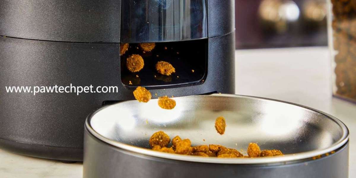 Pawtechpet Intelligent Pet Food Dispenser: Where Schedules Meet Affection