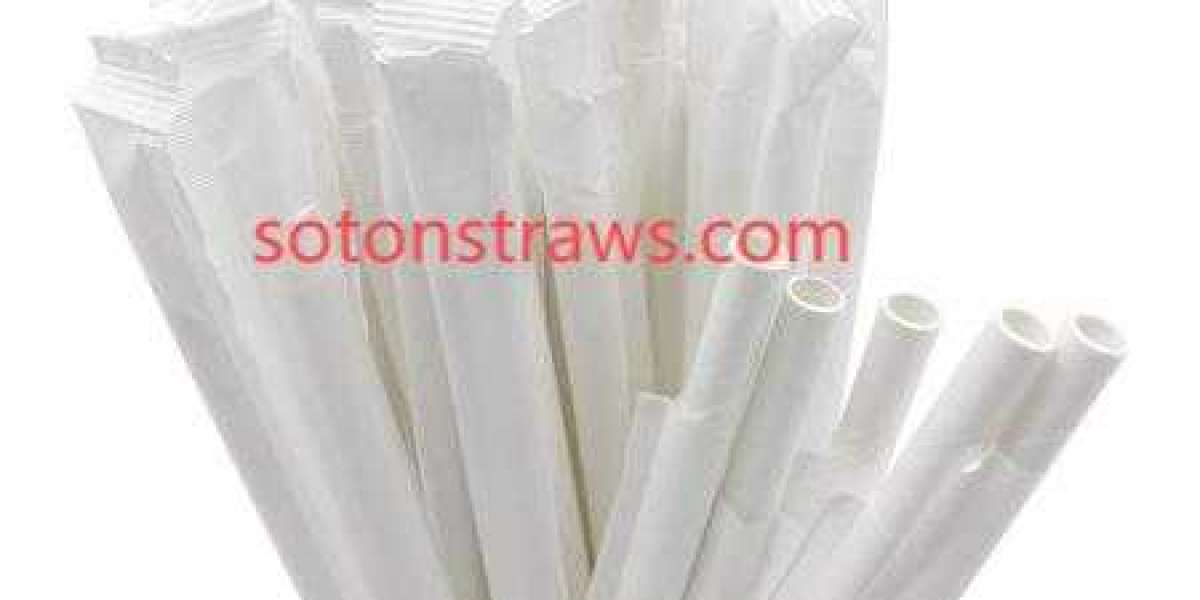 Soton Leads China Eco-friendly Straws Solutions