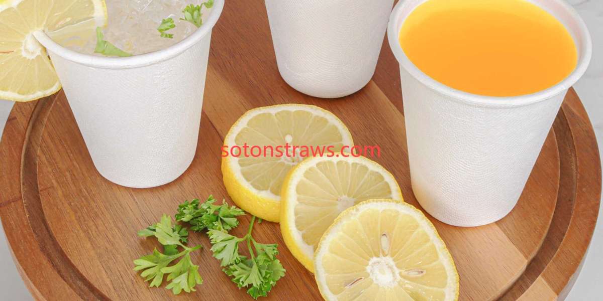 Explore Soton Disposable Paper Cups Solutions